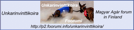 banner-maforum-finnland