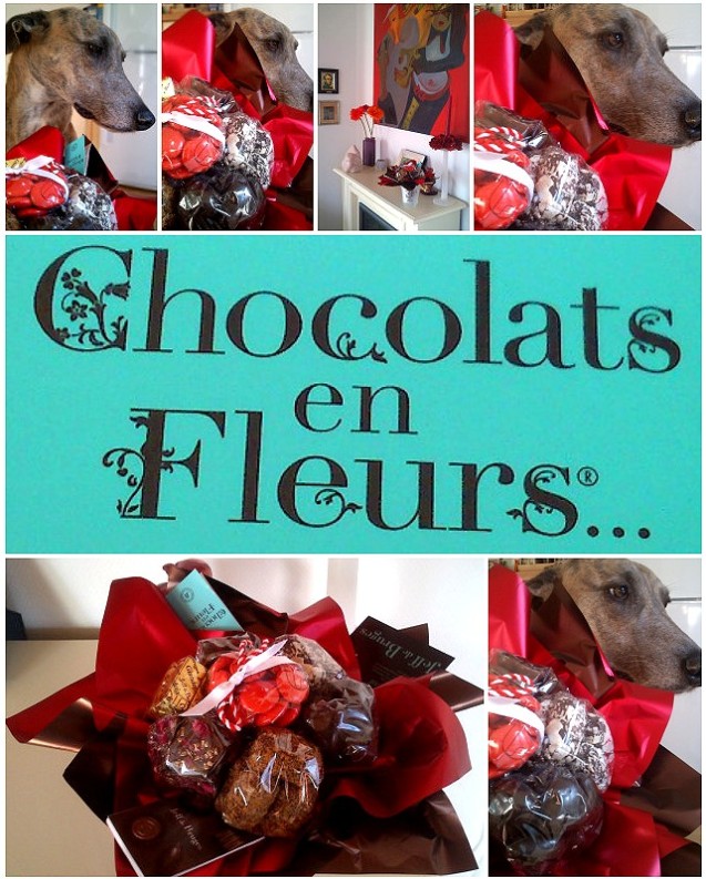 20170214-chocolats_en_fleurs